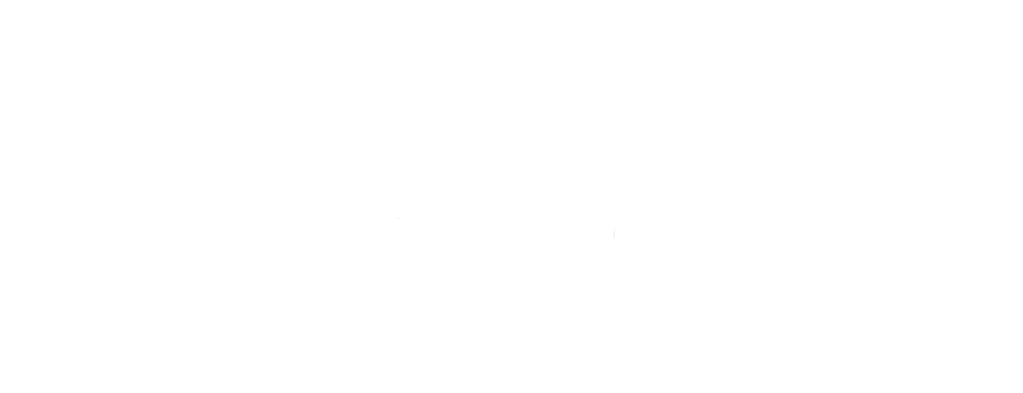 ERNE