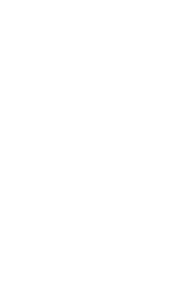 VTR Customs